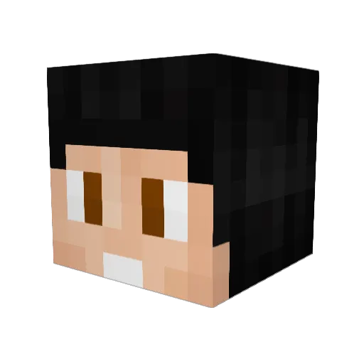 UnbarredPython Minecraft avatar head, 3D render