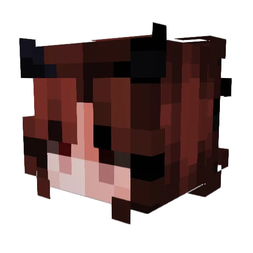 Uncle_Mr_Bones Minecraft avatar head, 3D render