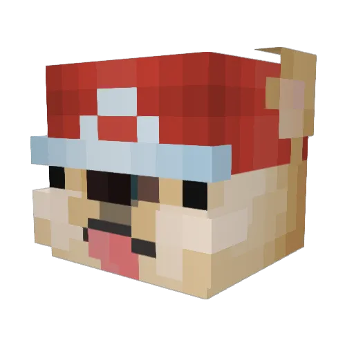 Uncle_Sean69 Minecraft avatar head, 3D render