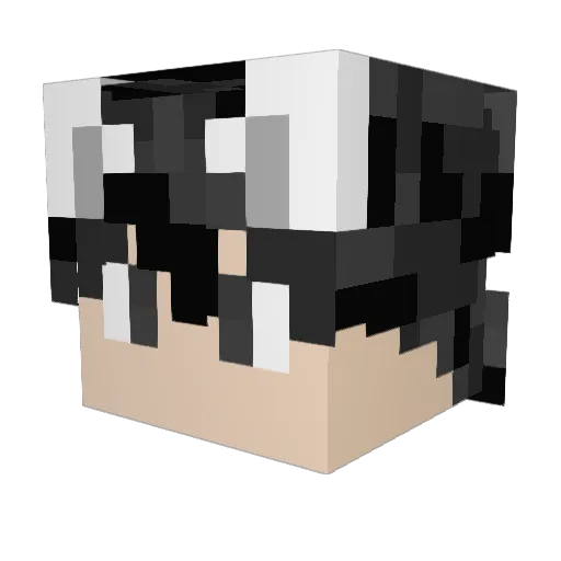 Uncle_Shao Minecraft avatar head, 3D render