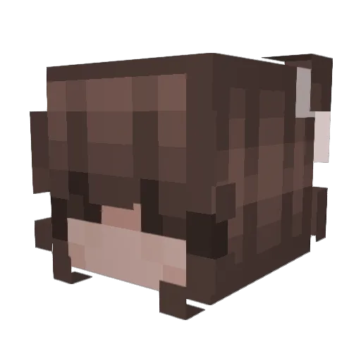 Uncloseted Minecraft avatar head, 3D render