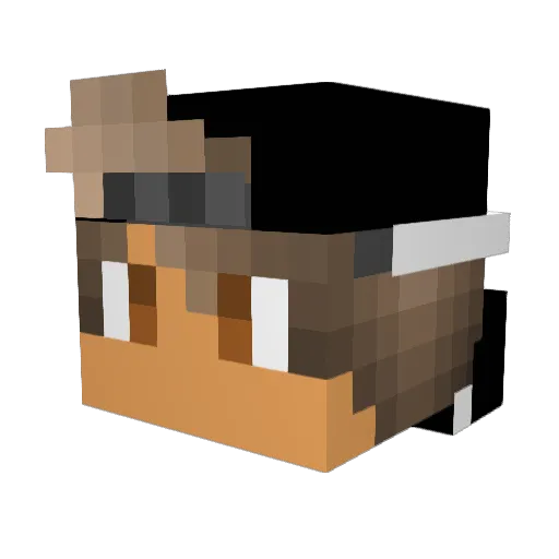Uncomfortxble Minecraft avatar head, 3D render