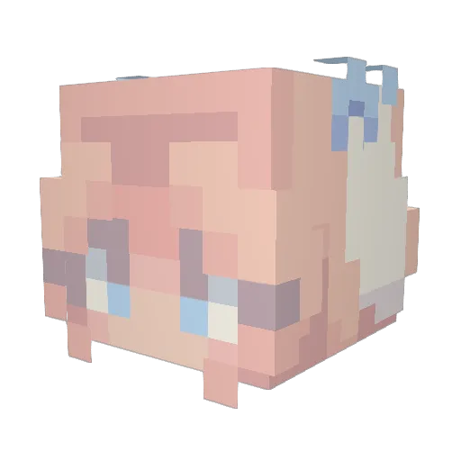 UncommonTunic66 Minecraft avatar head, 3D render