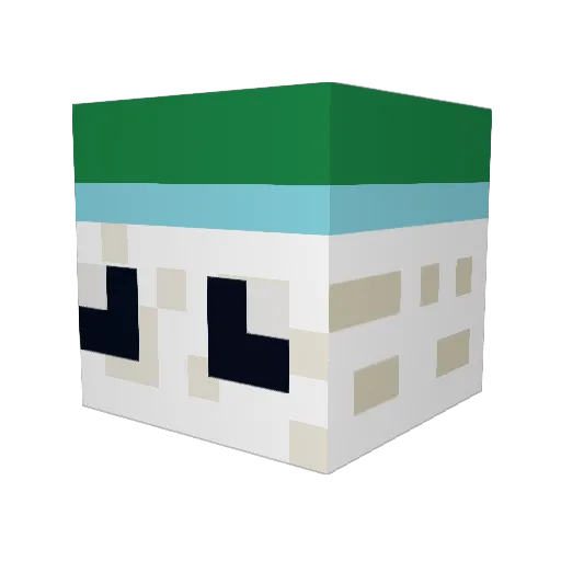 UncoolRanch Minecraft avatar head, 3D render