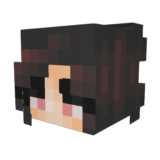UncreativeKilu Minecraft avatar head, 3D render