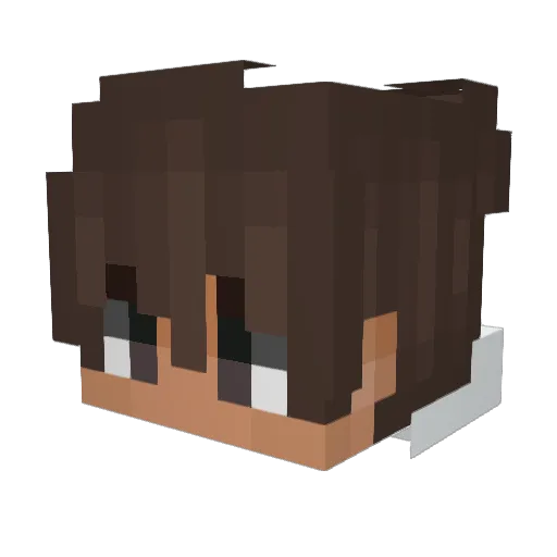 UndeadGodz2662 Minecraft avatar head, 3D render