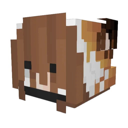 UndeadValkyrie Minecraft avatar head, 3D render
