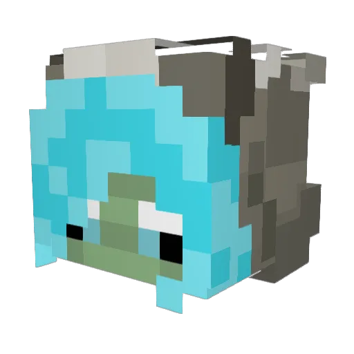 Undead_Raccoon Minecraft avatar head, 3D render