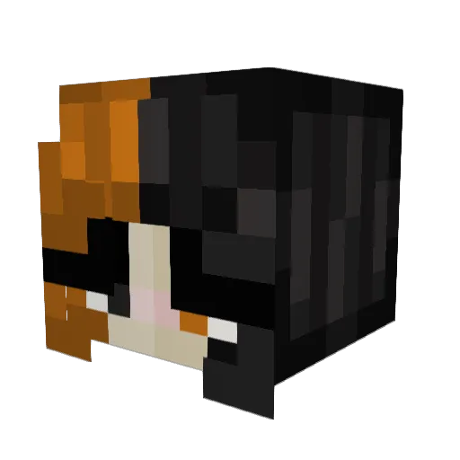 UnderControl17 Minecraft avatar head, 3D render