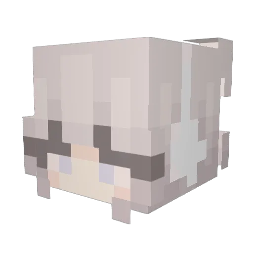 UnderFire1488 Minecraft avatar head, 3D render