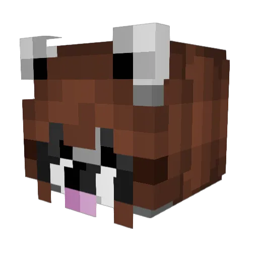 UnderRaccoon Minecraft avatar head, 3D render