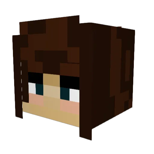UnderTheSeaAmaze Minecraft avatar head, 3D render