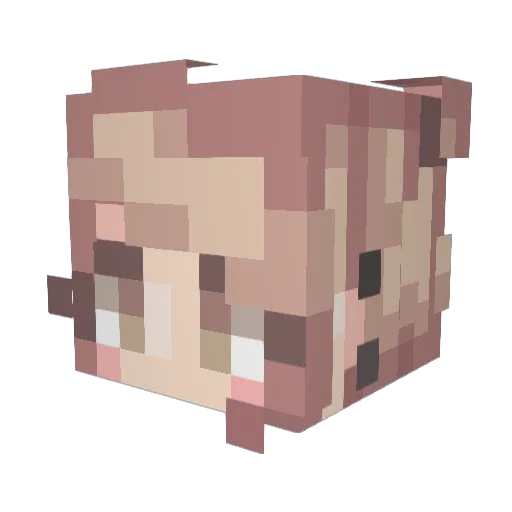 Underdog101 Minecraft avatar head, 3D render