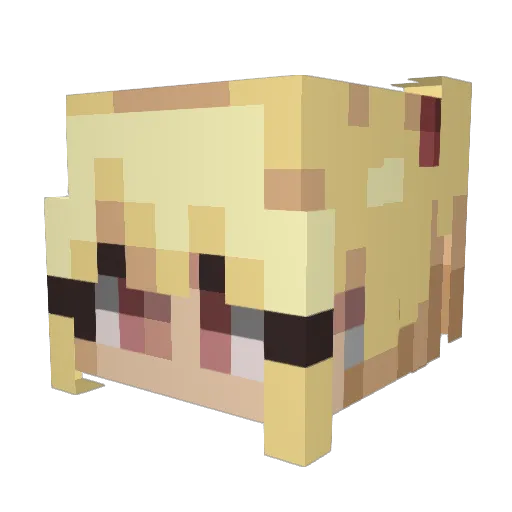Understater Minecraft avatar head, 3D render