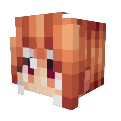 Undertaker228 Minecraft avatar head, 3D render