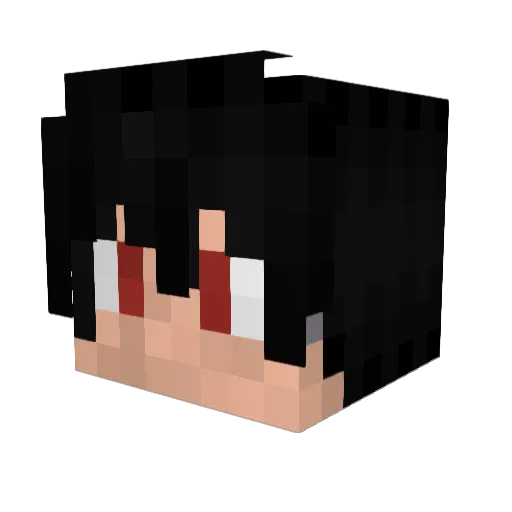 Undertaker_X Minecraft avatar head, 3D render