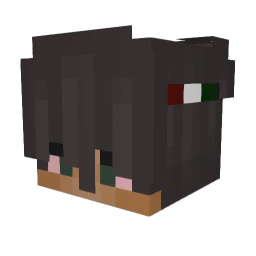 Undertale434 Minecraft avatar head, 3D render
