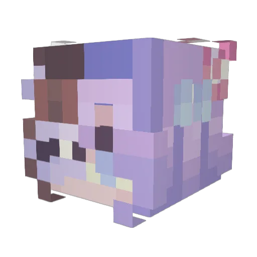 Underthestarry Minecraft avatar head, 3D render