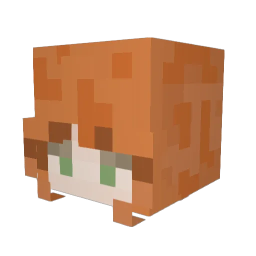 Undici_11 Minecraft avatar head, 3D render