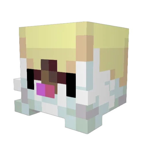 UndodnU Minecraft avatar head, 3D render