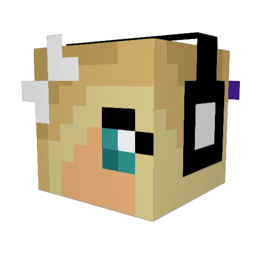Unfortunate_ Minecraft avatar head, 3D render