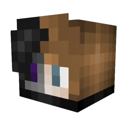 Unfussy307 Minecraft avatar head, 3D render