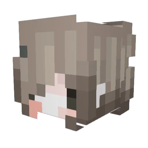 Ungeum Minecraft avatar head, 3D render