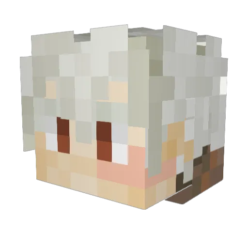 Unharmed_Drudge Minecraft avatar head, 3D render