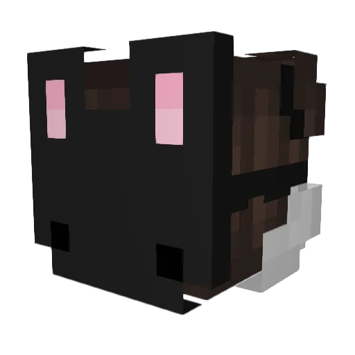 Unhindered_Egg Minecraft avatar head, 3D render