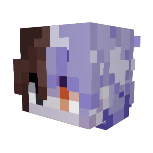 Minecraft-Avatar von UnhingedFool: Kopf als 3D-Render