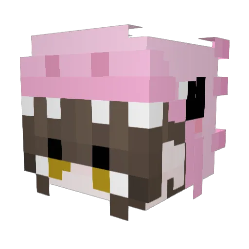 UniCZ_ Minecraft avatar head, 3D render