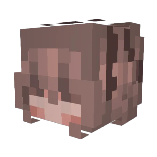 UniTinny Minecraft avatar head, 3D render