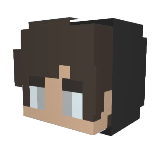 Uni_Berd Minecraft avatar head, 3D render