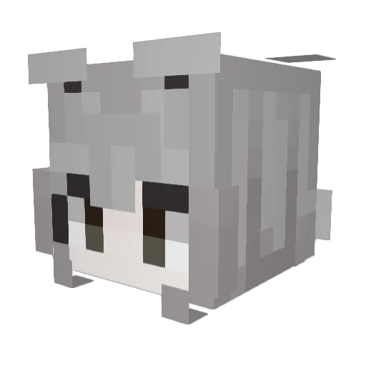 Unicat2248 Minecraft avatar head, 3D render