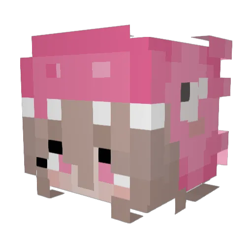 Unicone62 Minecraft avatar head, 3D render