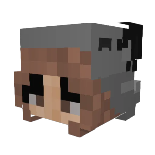 Unicorn2O2 Minecraft avatar head, 3D render