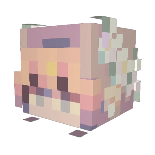 UnicornBean15 Minecraft avatar head, 3D render