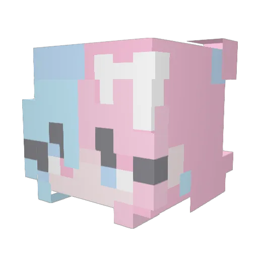 UnicornCandy1234 Minecraft avatar head, 3D render