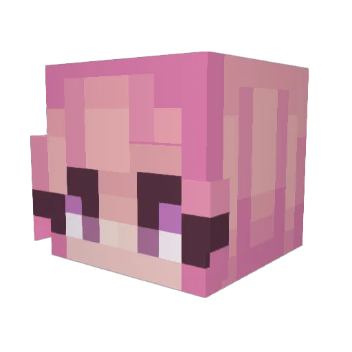 UnicornCat4440 Minecraft avatar head, 3D render