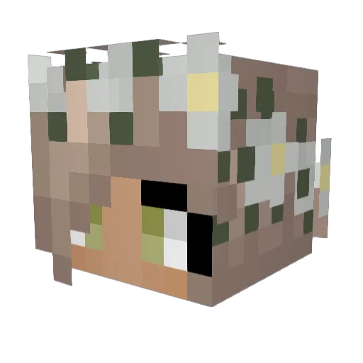 UnicornCoco1223 Minecraft avatar head, 3D render
