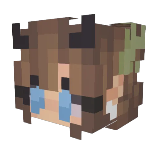 UnicornGod102 Minecraft avatar head, 3D render