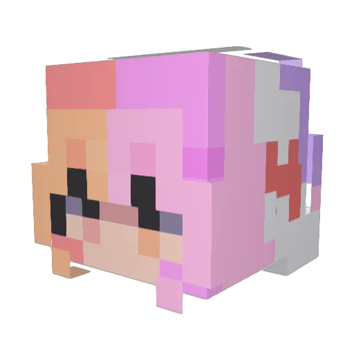 UnicornLover100 Minecraft avatar head, 3D render