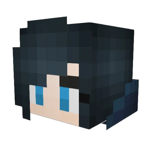 UnicornLover916 Minecraft avatar head, 3D render