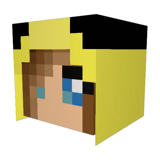 UnicornPony06 Minecraft avatar head, 3D render