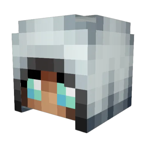 UnicornPower1999 Minecraft avatar head, 3D render