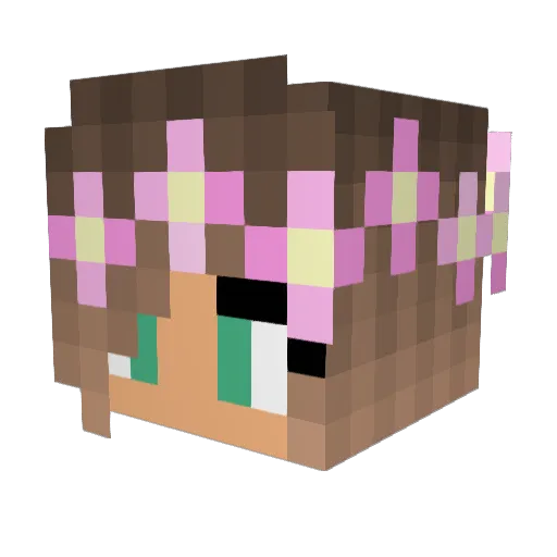 UnicornRider_ Minecraft avatar head, 3D render