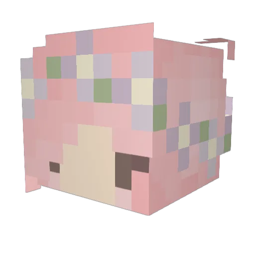 UnicornSeashell Minecraft avatar head, 3D render