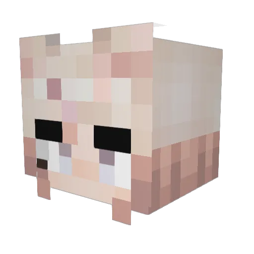 UnicornTamer15 Minecraft avatar head, 3D render