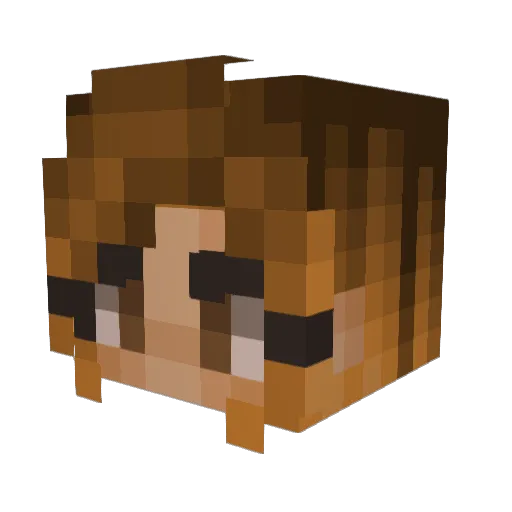 Unicorn_Feels Minecraft avatar head, 3D render