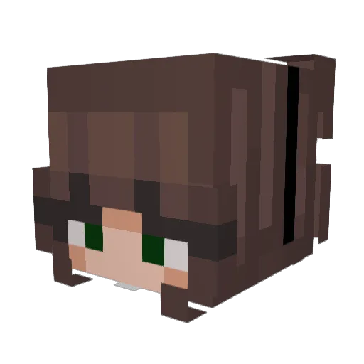 Unicorn_Qu33n Minecraft avatar head, 3D render